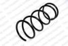 ROC CS1606 Coil Spring
